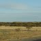 Looking East toward the Hill Country