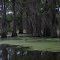 Caddo Lake Texas