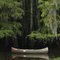 Caddo Lake Tx