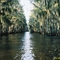 Government Ditch - Caddo Lake, Texas