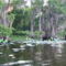 Caddo Lake