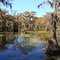 Caddo Lake: Goat Island (looking west from bridge) 10/28/2010
