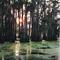 Caddo Lake 5