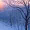 Snowbow