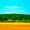 West Blue Mound Tallest Point in Southren Wisconsin