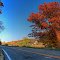 Some journeys are just prettier than others. . .