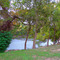 Little Webberville Park