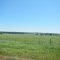 Southeast of Austin