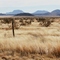 South of 166 by Blue Mountain
