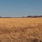 Davis Mountains panorama
