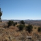 View East from Davis Mtn State Park