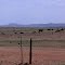 From State Highway 118, Alpine, Texas