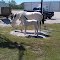 Concrete Horses