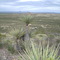 Camping March 2005