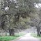 A road to Blanco River