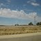 Shallowater Cottonfields