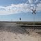 Shallowater Railcrossing County Rd 1000