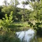 Lamb Creek www.OwnTX.com