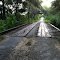 CR 316 One lane bridge near Lexington Texas
