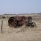 Old Tractor near Carlton, TX