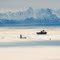 Dog Musher at Cook Inlet - Alaska - - During the Junior Iditarod Dog-Race in February 2005 a young Dog Musher is crossing with his team the Cook Inlet in the Gulf of Alaska.