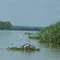 Sepik river