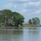 Sepik river