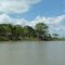 Sepik river