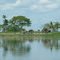 Sepik river