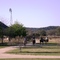 Equestrian Lodge