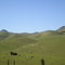 Sutter Buttes- Rolling Hillsides