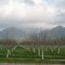 Sutter Buttes from West Butte Road