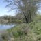 Bill´s community hunting spot -b