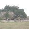 L.M. Kokernot Cemetery