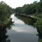 Withlacoochee River from 141 Bridge