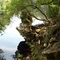 Suwanee River