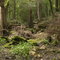 Suwanee River St. Park
