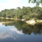 Withlacoochee / Suwanee