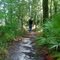 suwannee river state park