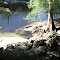 Spring at rivers edge, Suwannee River State Park