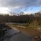 Creek on FM 331