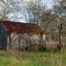 Ratty little barn on FM 331, north of Sealy, Texas