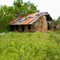 Quihi, Texas
