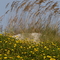 St. Augustine Beach, Florida