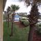 Ocean Sands Beach Hotel