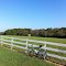 Pasture along Spring Branch Road