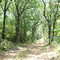 Road at Trinity Trails Ranch