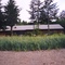 Corner Bay USFS workcenter