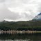 Tenakaee Springs, AK   Pop=93