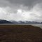 Island by Grizzly Bar in the Taku Inlet